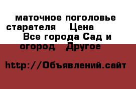 маточное поголовье старателя  › Цена ­ 3 700 - Все города Сад и огород » Другое   